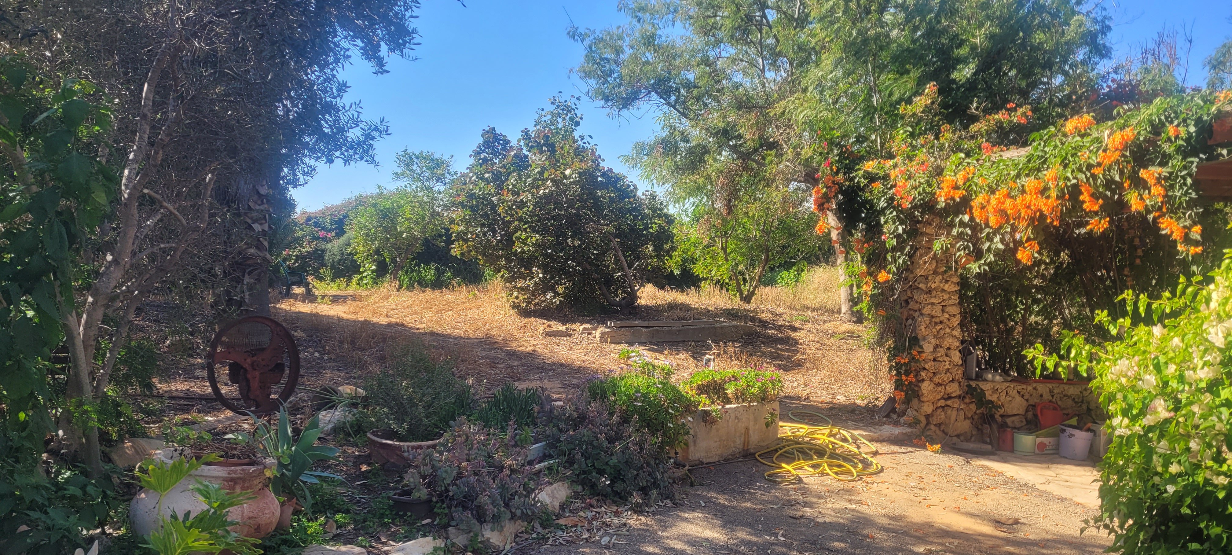 מהסמארטפון שלי